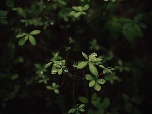 Ben Karpinski UR PNOruRPk Unsplash 300x225