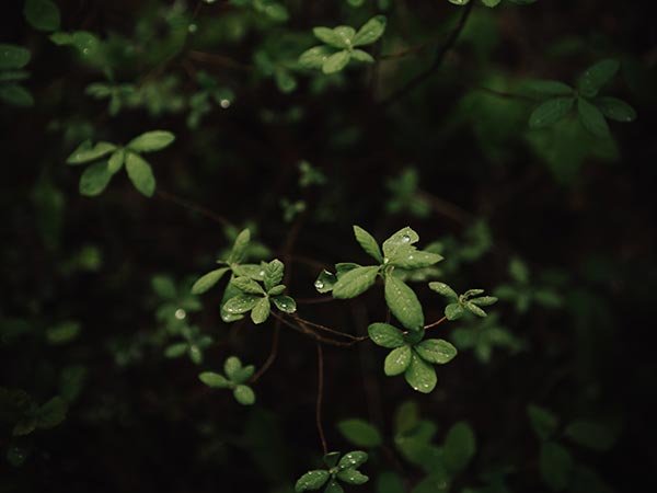 Ben Karpinski UR PNOruRPk Unsplash