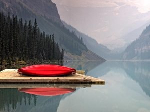 Faye Cornish N3XTxxV7qhI Unsplash 300x225