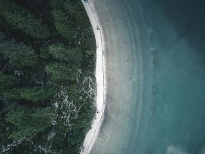 Robert Bahn 1370575 Unsplash 300x225