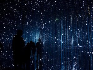 Robynne Hu HOrhCnQsxnQ Unsplash 300x225